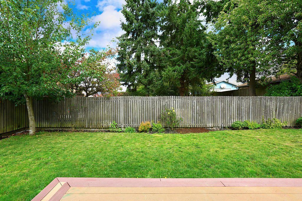 Lawn overlooking a neighboring yard with wooden fence and tall trees.
