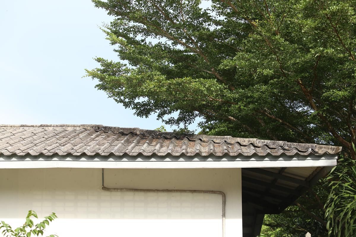 Overhanging branches of a huge tree is touching the roof of a house.