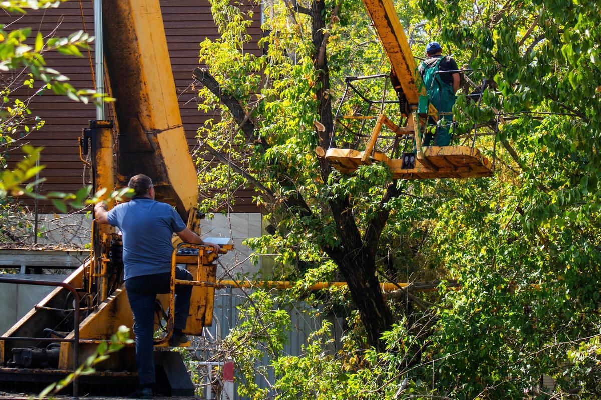 One arborist is operating a bucket truck while the other arborist is trimming overhanging branches of a tree.