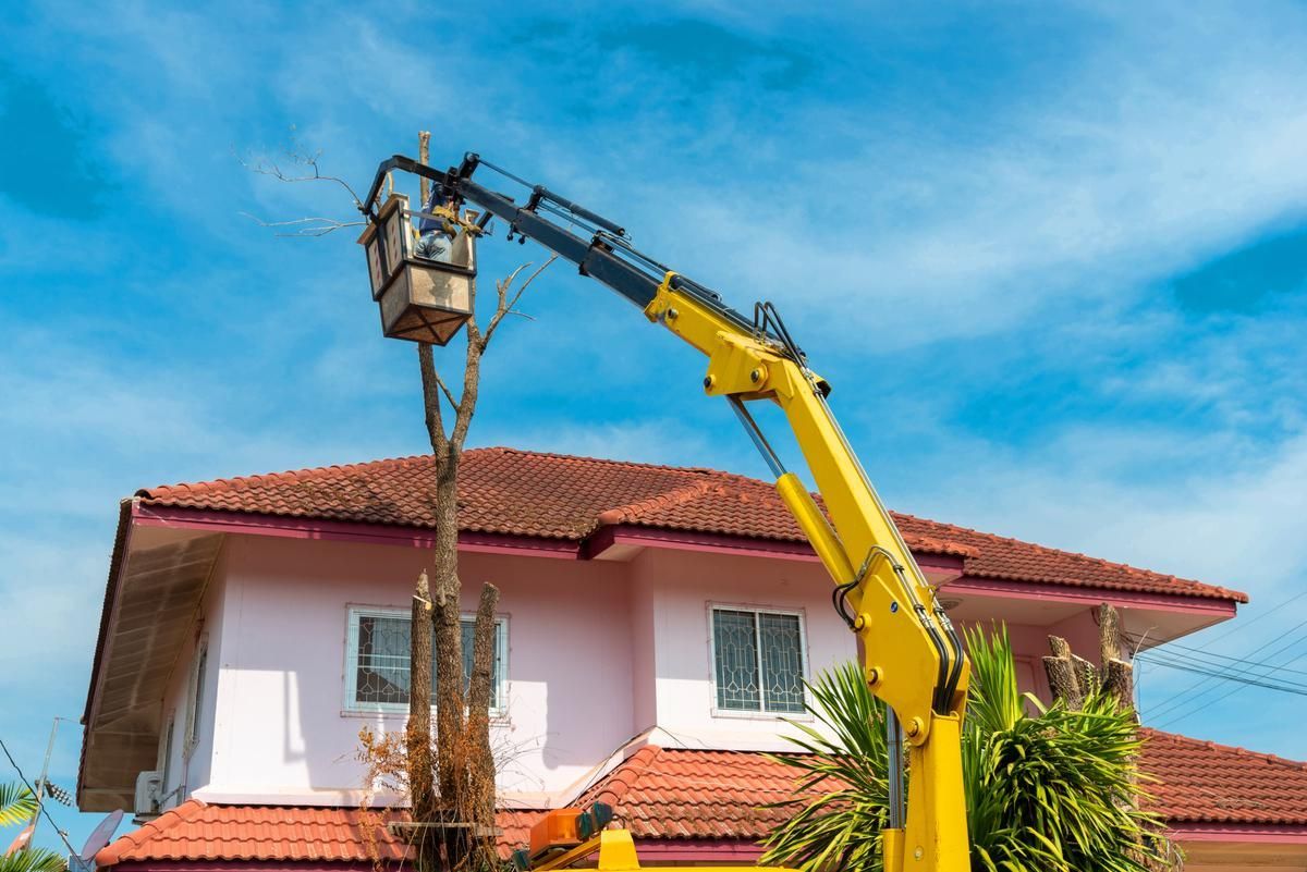 An arborist in a bucket truck in front is removing branches of a dead tree in front of a house.
