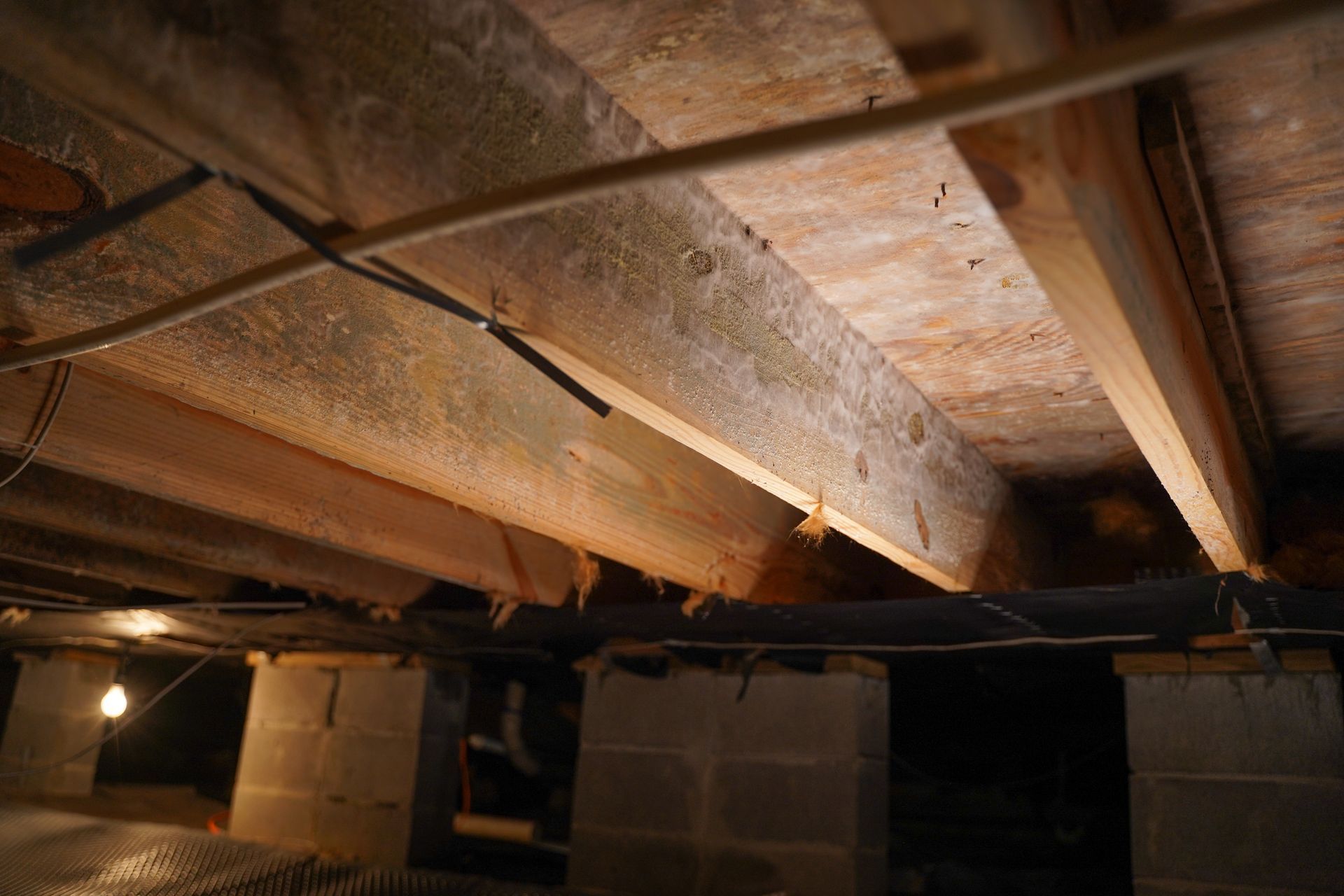 View of wooden floor joists and subflooring inside a dark crawl space, supported by concrete block pillars.