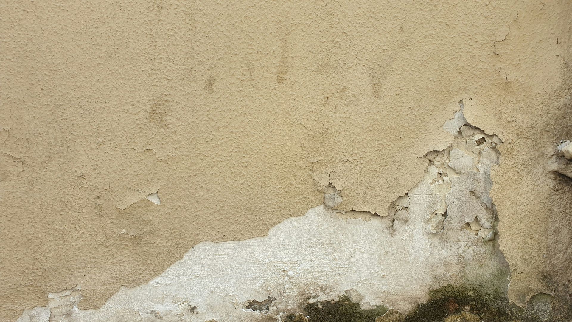 Close-up of a weathered, beige concrete wall with peeling paint, crumbling plaster, and dark moisture damage at the base.