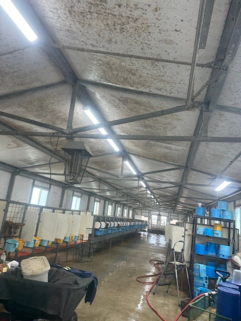 A large dirty room with a ceiling that is covered in dust.
