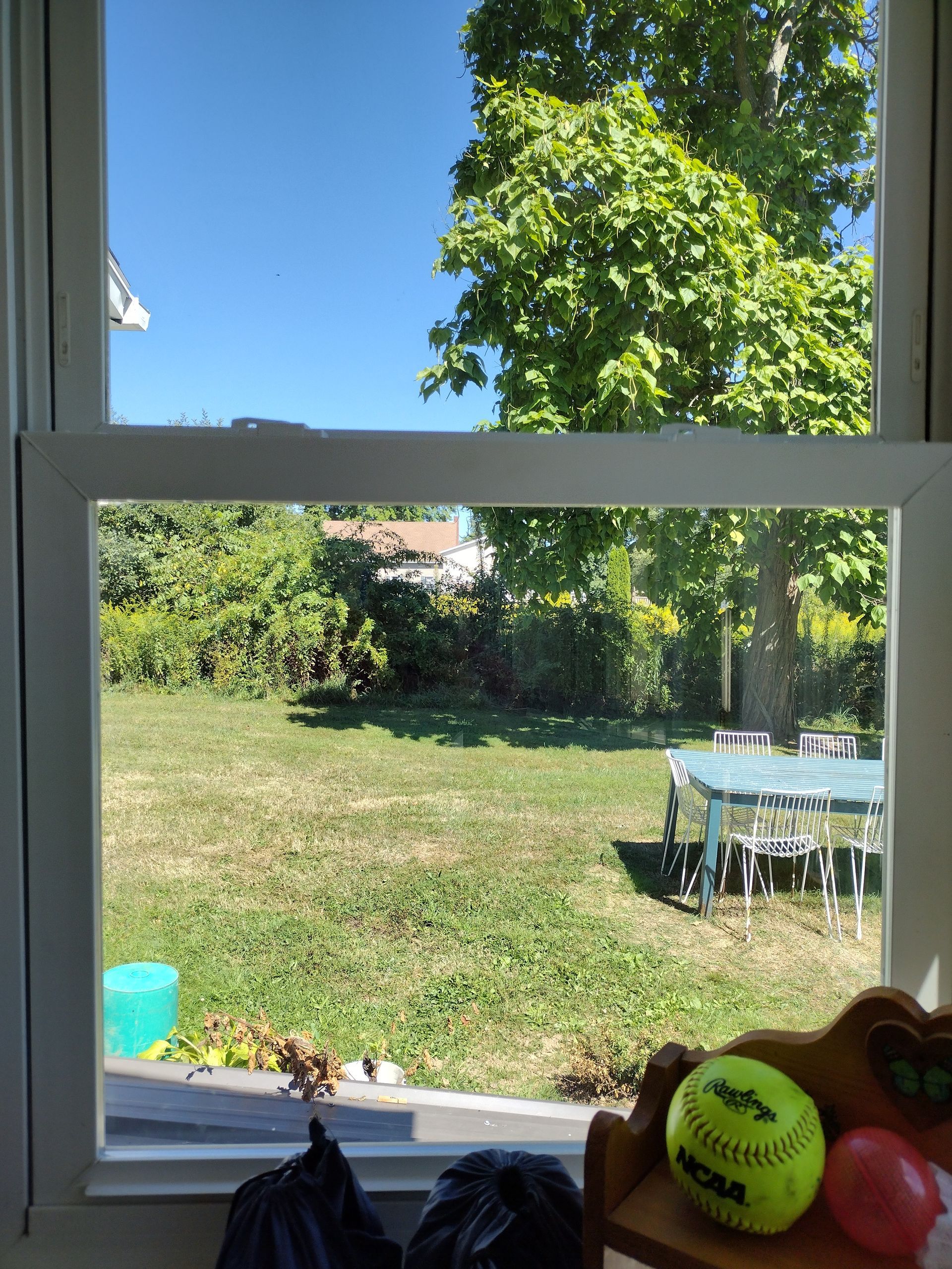 A view of a yard through a window with a tennis ball on a table.
