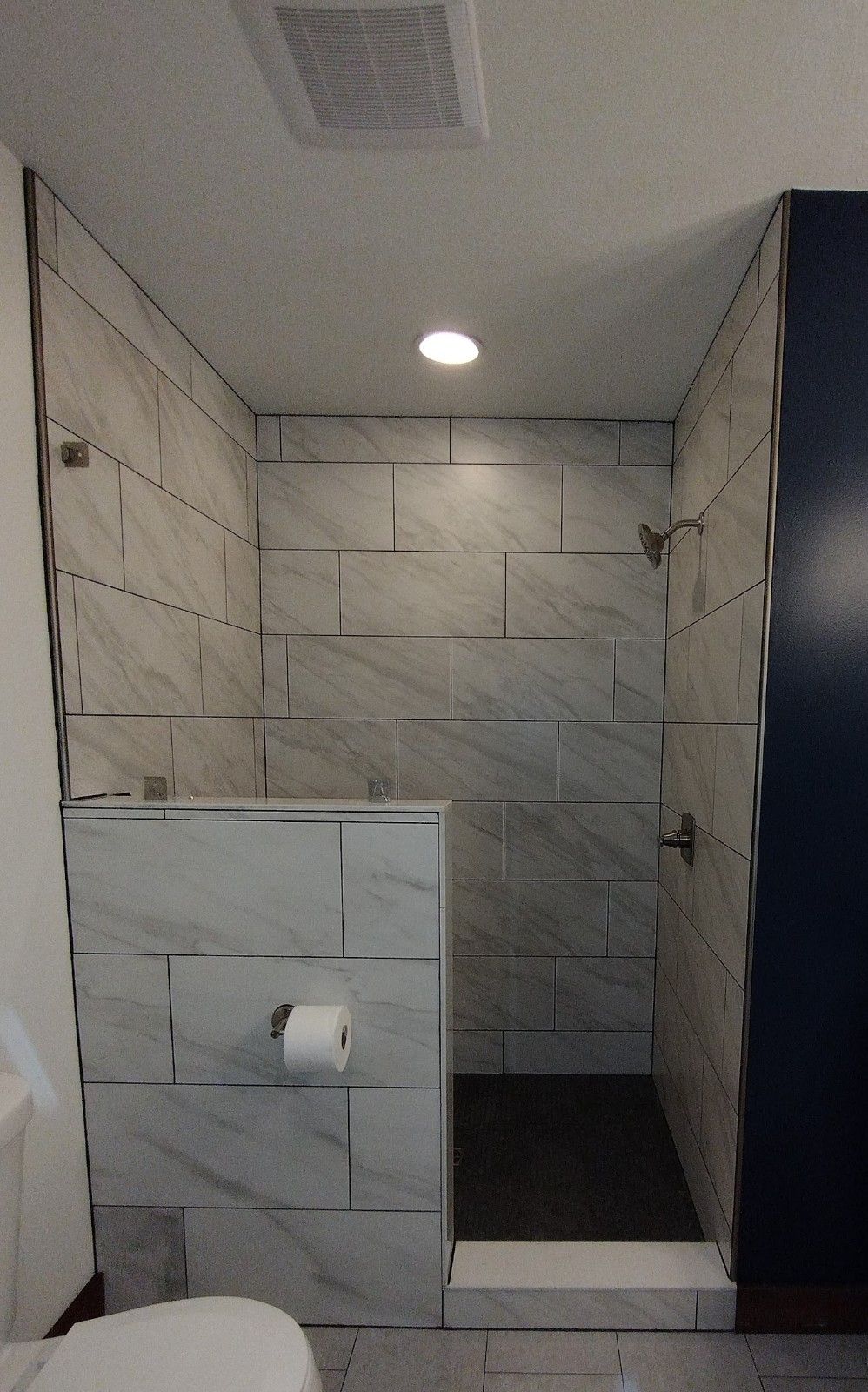 A bathroom with a walk in shower and a toilet.