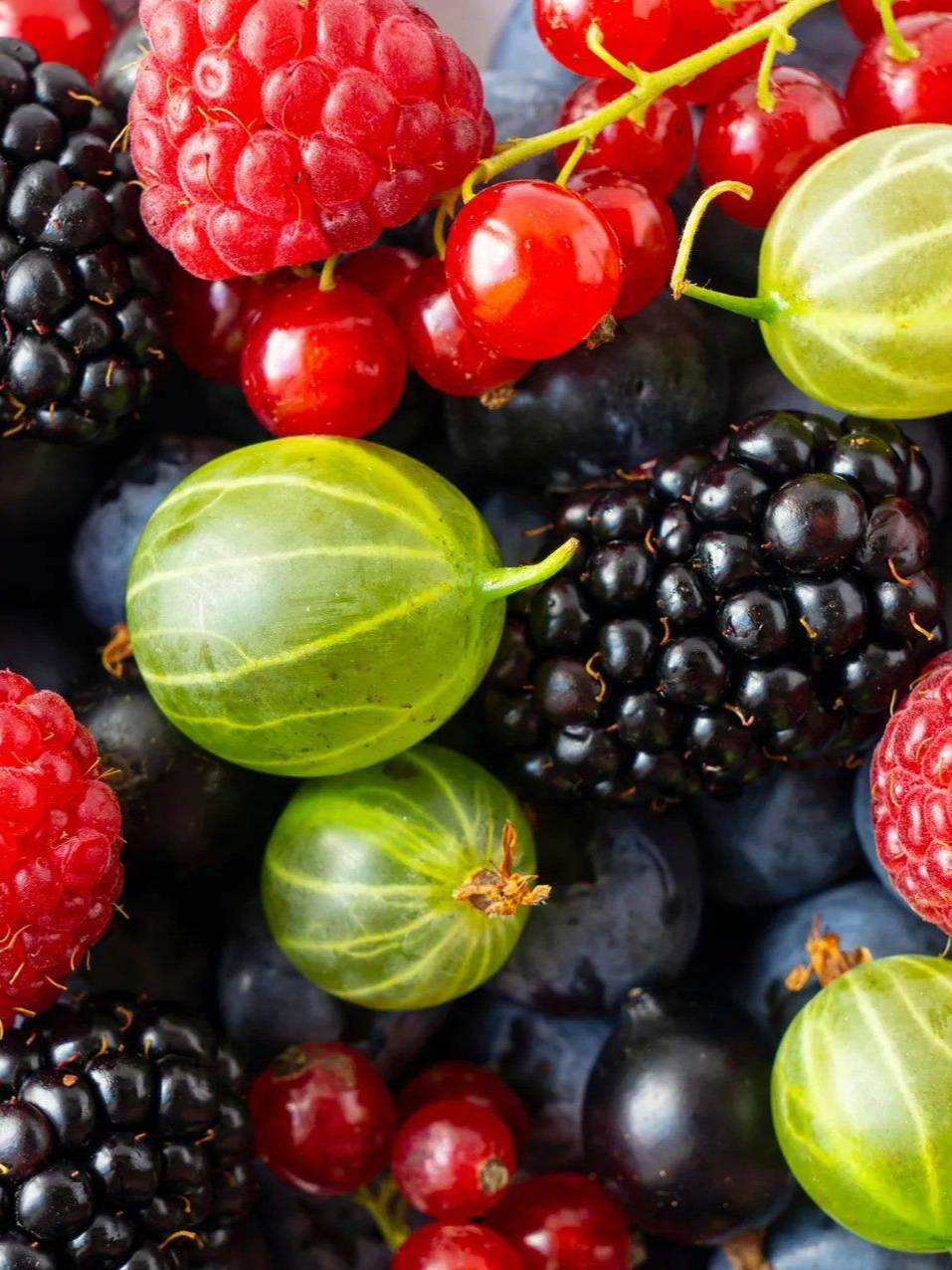 Assorted fresh berries, including raspberries, blackberries, blueberries, red currants, and gooseberries, in close-up