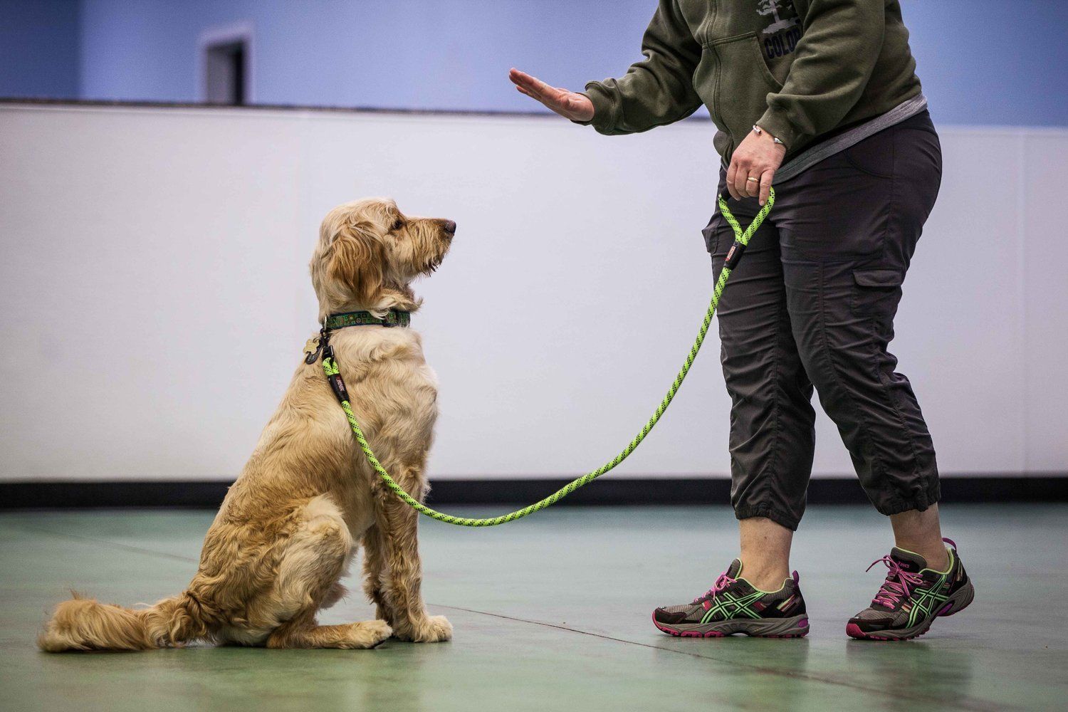 dog training corpus christi texas