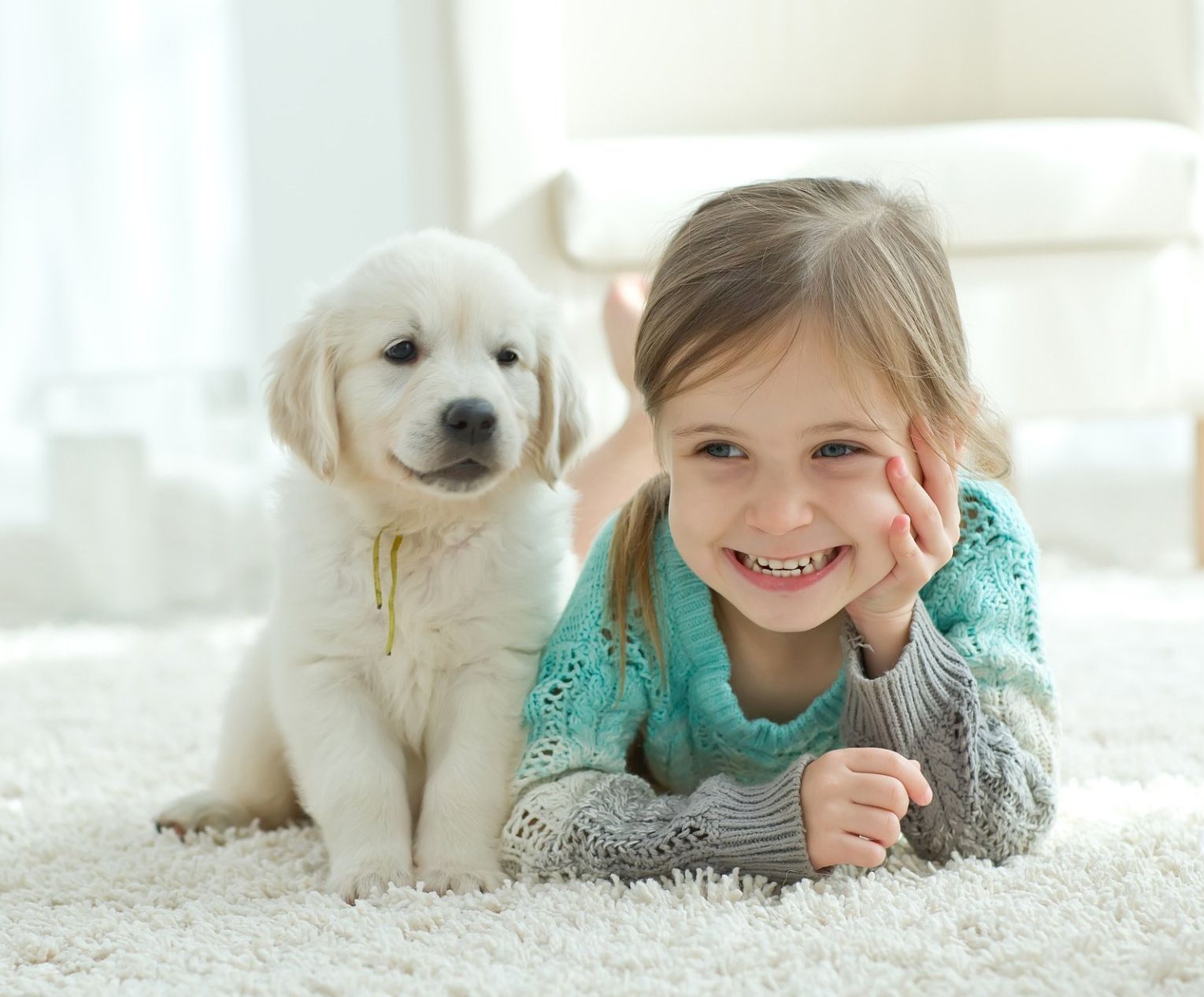 puppy training corpus christi at home