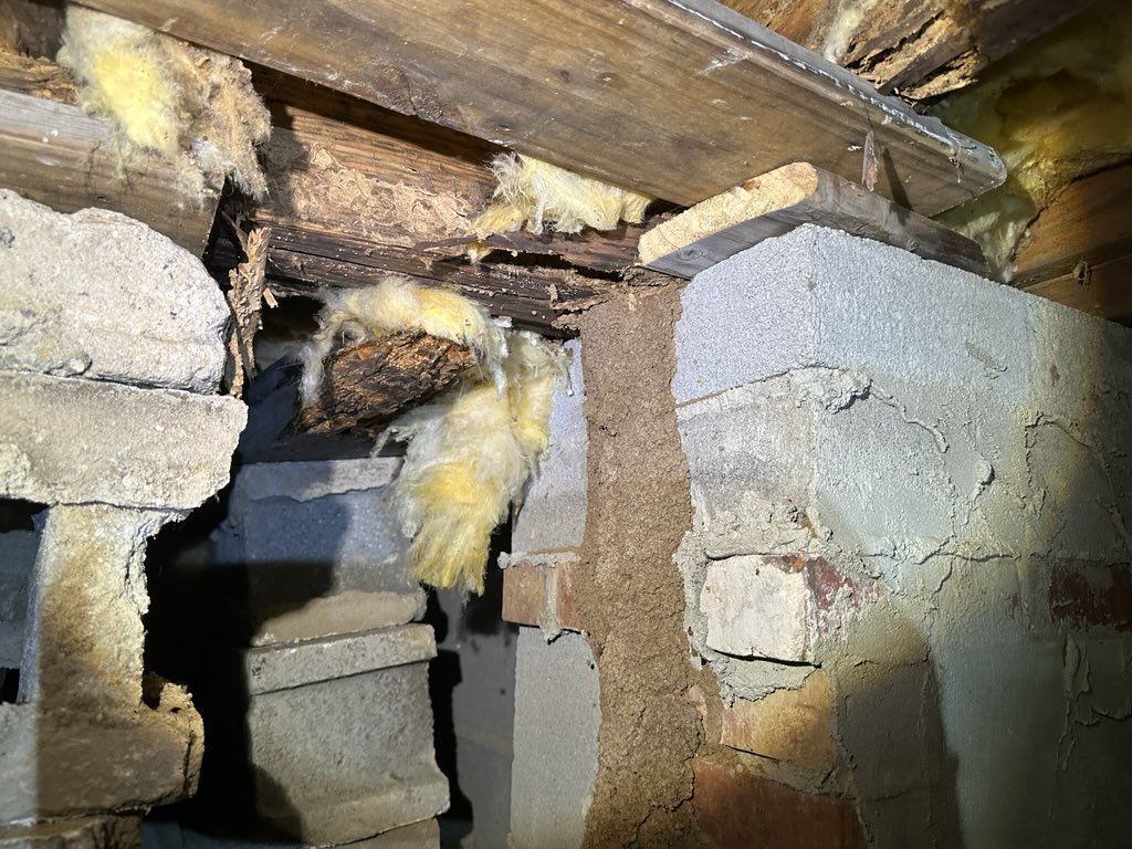A termite mud tube travels up a concrete block foundation wall to reach wooden floor joists and yellow fiberglass insulation.