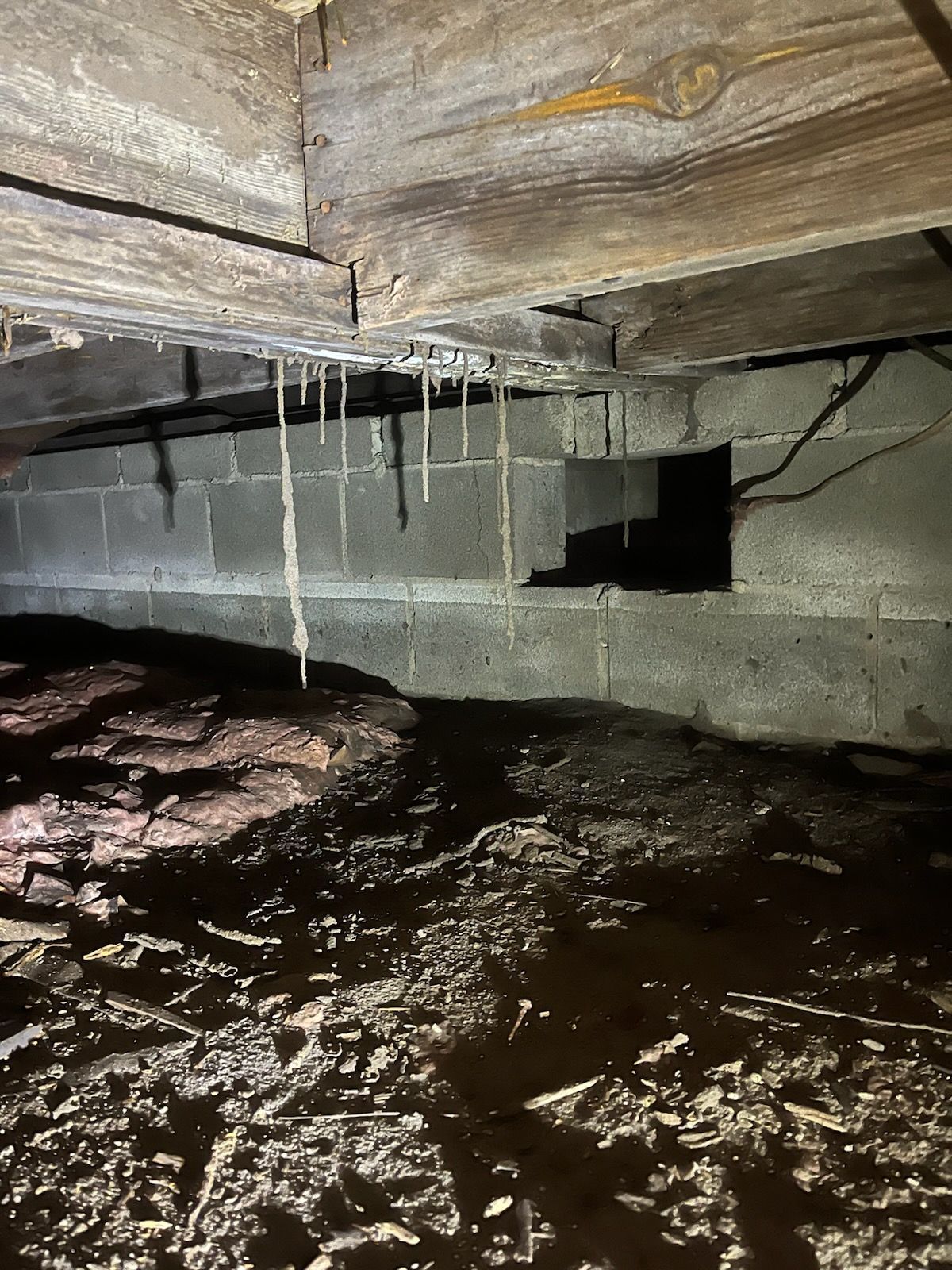 Crawl space with standing water, wet soil, and cobwebs hanging from damp wooden floor joists above a concrete wall.