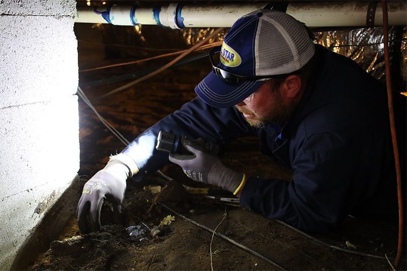 A person in a baseball cap, work gloves, and flashlight inspects a crawl space near a white block foundation wall.