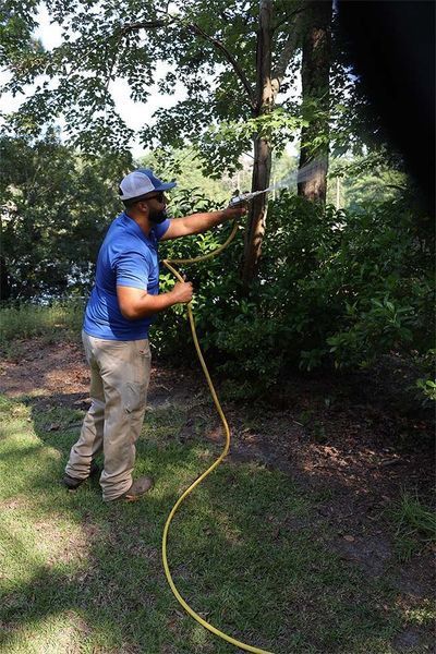 A person in a blue shirt and khaki pants uses a hose to spray water onto a large bush in a yard.