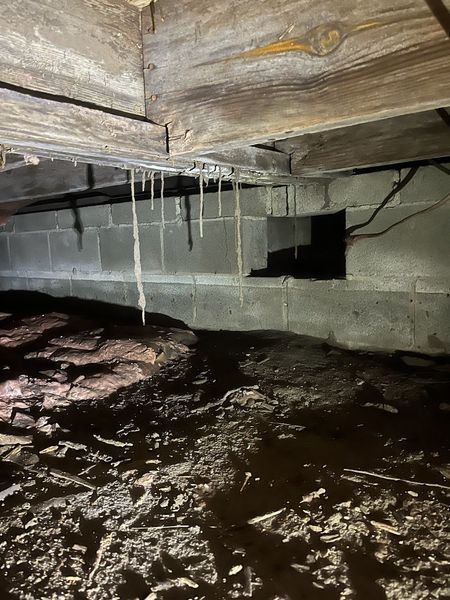 A dark, damp crawl space with standing water, muddy ground, and icicles hanging from wooden floor joists above.