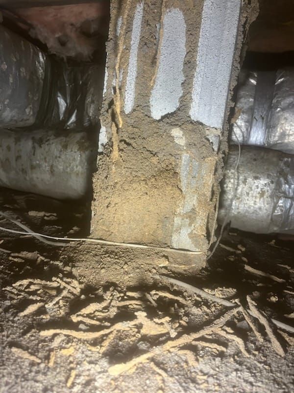 A crawlspace support post covered in mud tubes built by termites, with loose dirt and debris on the ground below.