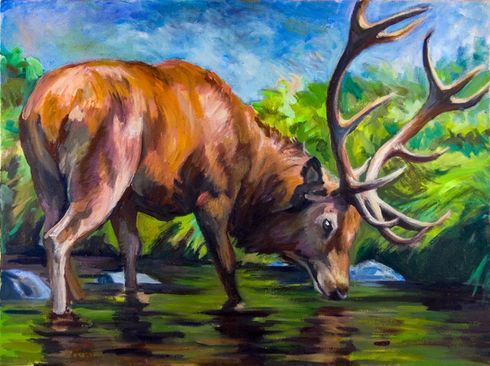 Ein bemalter Hirsch mit großem Geweih trinkt aus einem sonnenbeschienenen, grün getönten Bach.