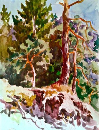 Aquarellmalerei von Kiefern an einem sandigen, erdigen Hang vor dem Hintergrund üppigen, dichten grünen Laubs.