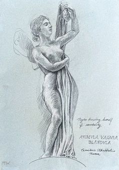 Eine Bleistiftskizze einer Figur, die sich mit einem Tuch über den Körper drapiert.