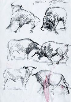 Eine Seite mit sechs Graphitskizzen, die Stiere in verschiedenen aggressiven oder aktiven Posen darstellen.