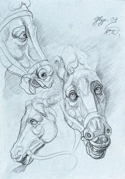 Eine Kohlezeichnung von drei Pferdeköpfen in verschiedenen Positionen, mit detaillierter Schattierung.