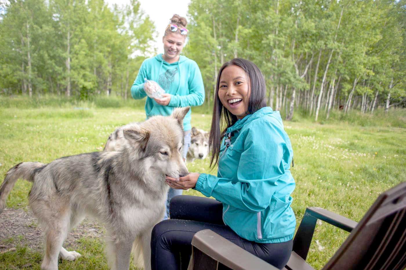 Woman in teal jacket petting a wolf in a grassy outdoor enclosure, with another person standing behind.