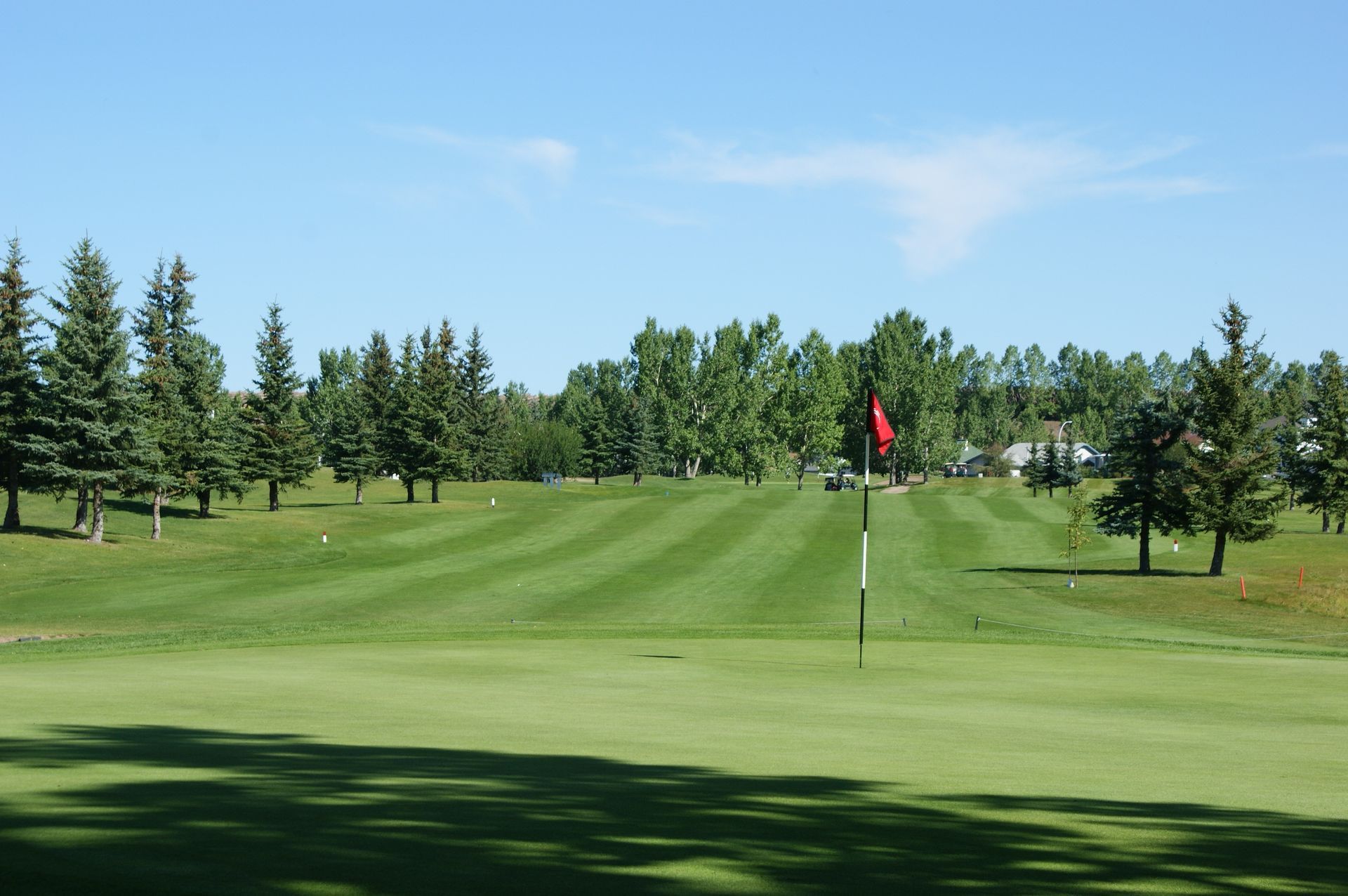 Golf course green with flagstick, surrounded by trees under a clear blue sky.