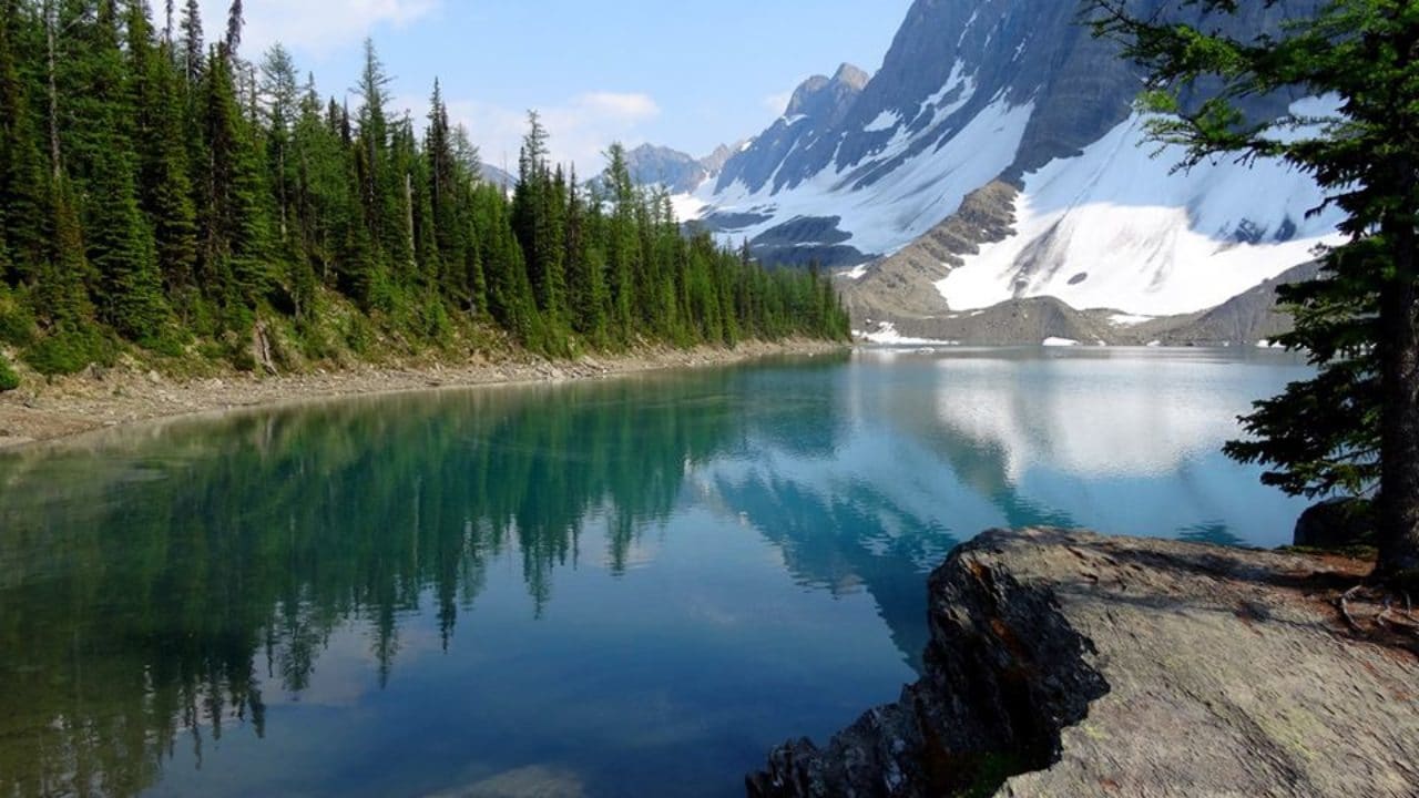 A lake with mountains in the background and trees on the shore.
