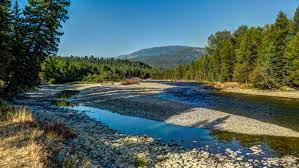 A river flowing through a forest with mountains in the background.