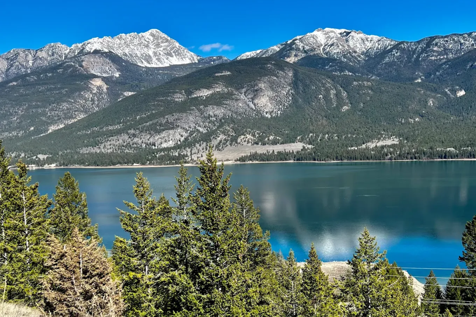 Snowy mountains above a turquoise lake, with pine trees in the foreground under a clear blue sky.
