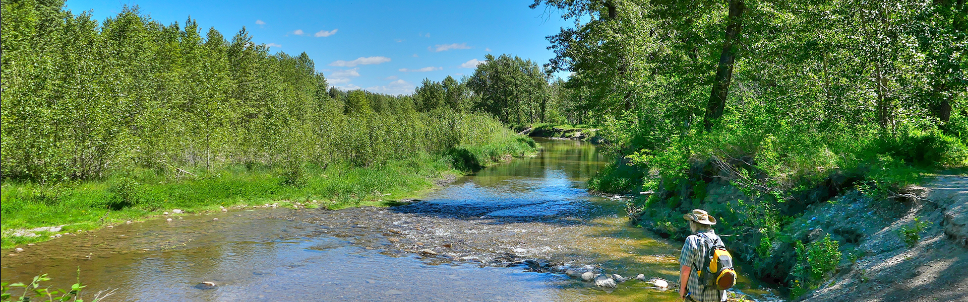 Hiker walking along a scenic trail beside a flowing creek in Fish Creek Provincial Park, Calgary.