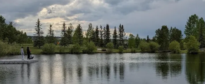 Calm lake with a cloudy sky, evergreen trees, and a person fishing from the shore.