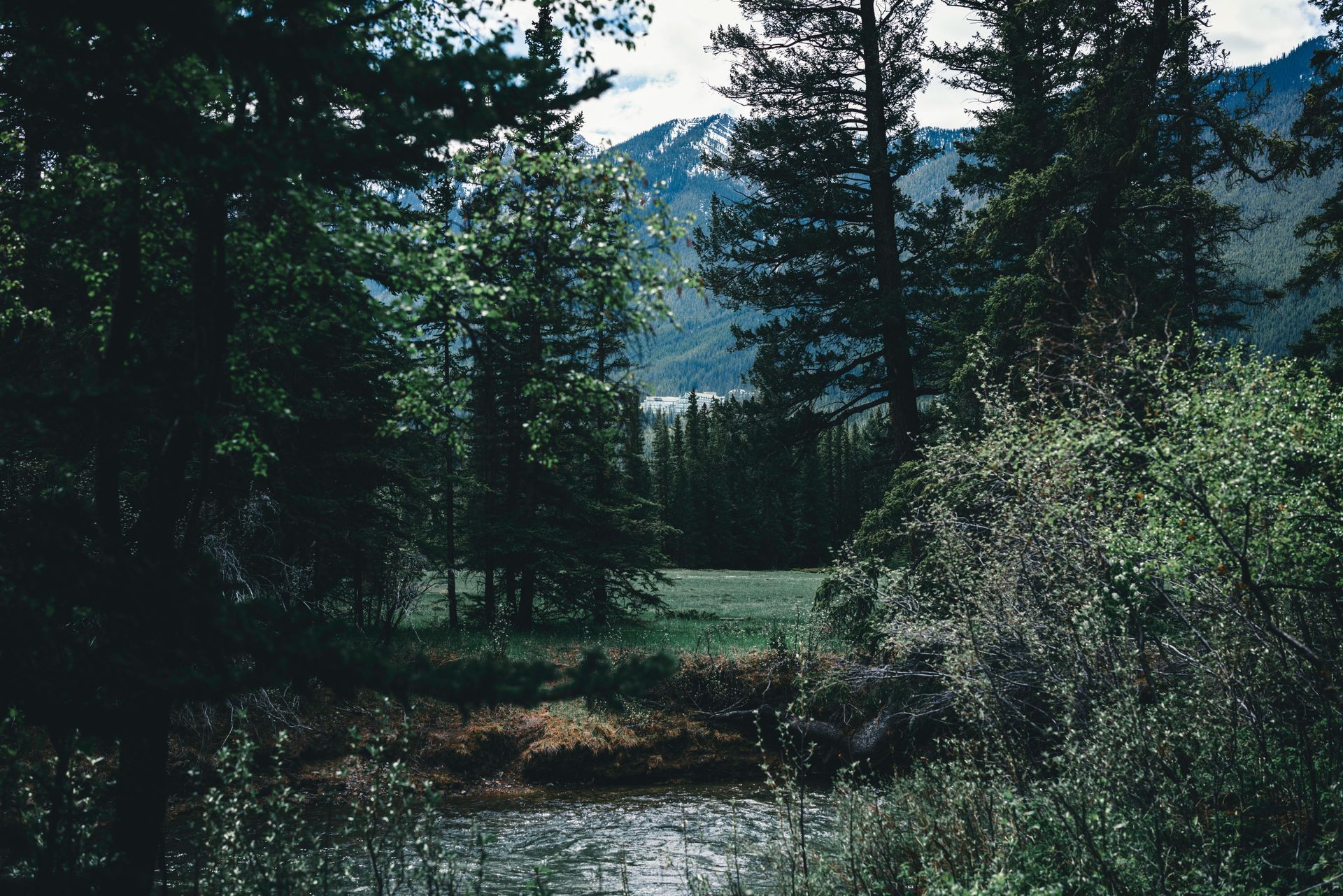 A river in the middle of a forest with mountains in the background