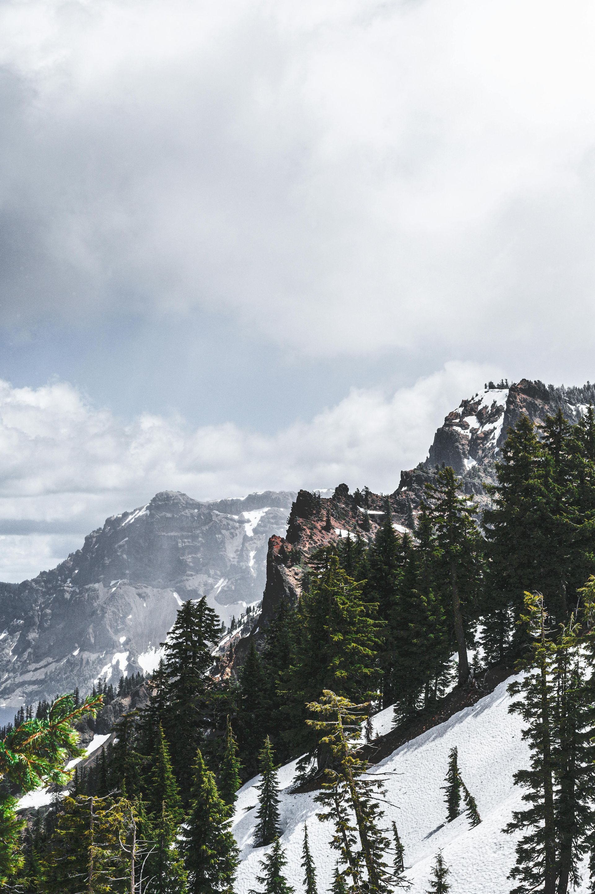 Snow-covered road winding through the Rocky Mountains with forested hillsides.
