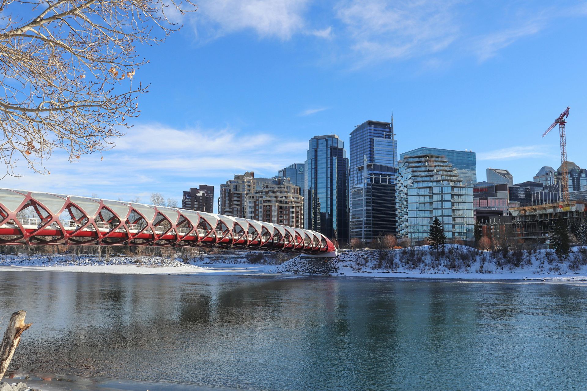 Peace Bridge in Calgary | Photo credit: Claudia Solano