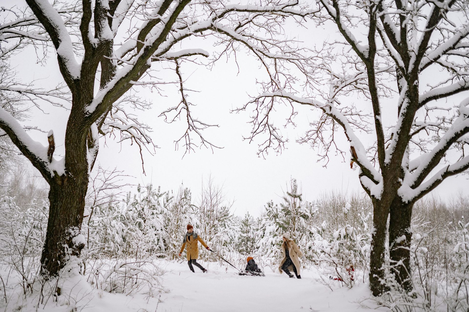 Children sledding down a snow-covered hill with trees in the background.