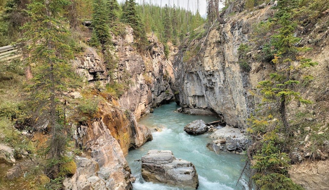 A snowy city street with a mountain in the background.
