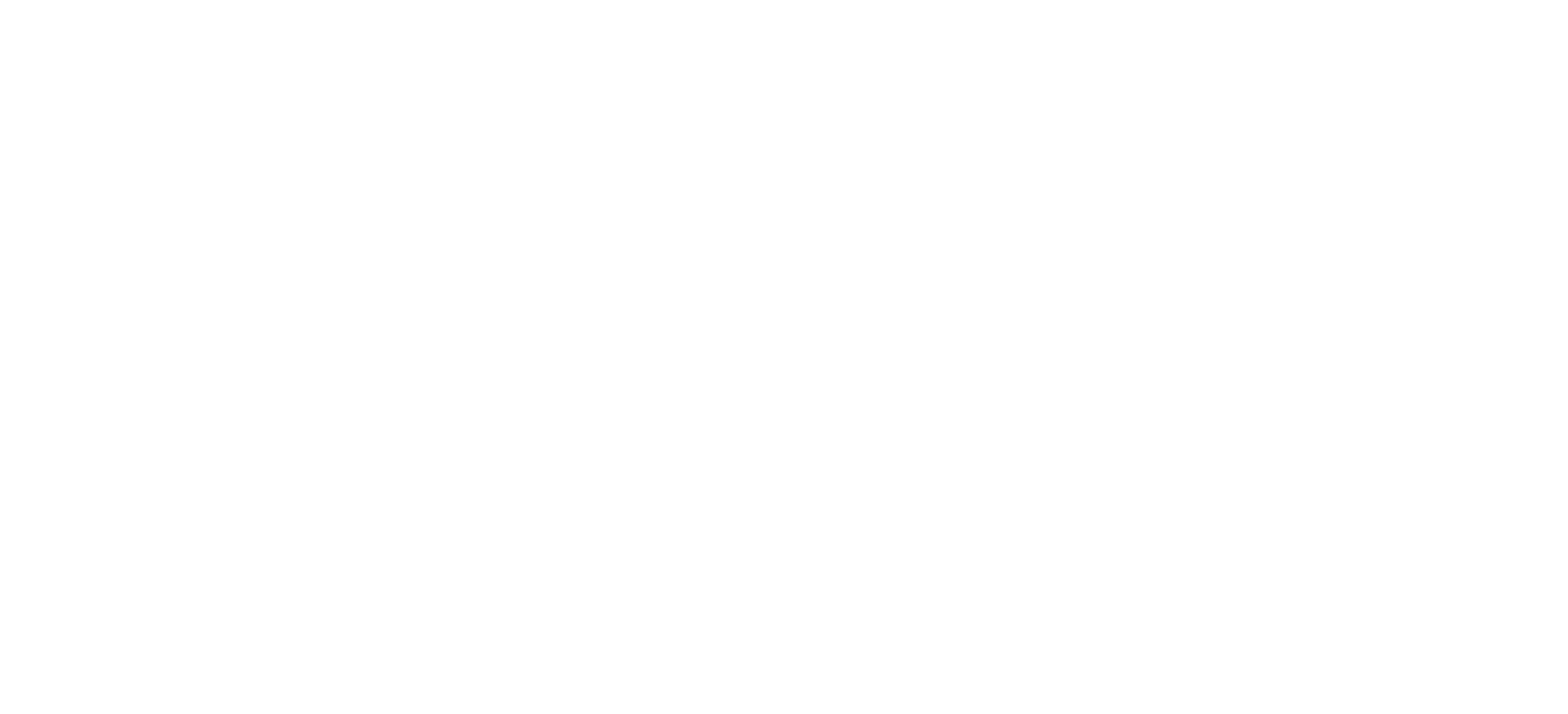 Partnership first logo white