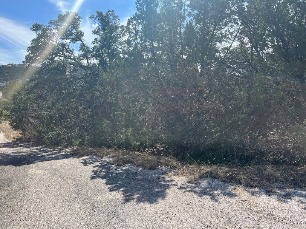 The sun is shining through the trees on the side of the road.