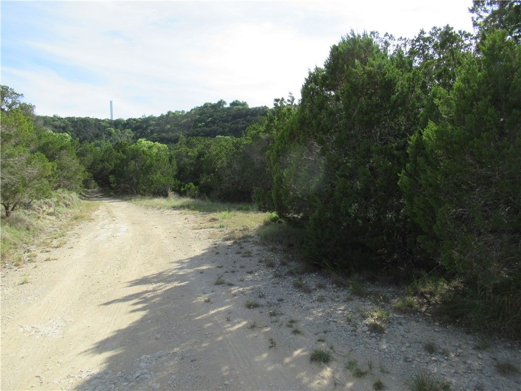 A dirt road with trees on both sides of it