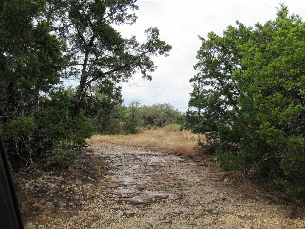A dirt road with trees on both sides of it