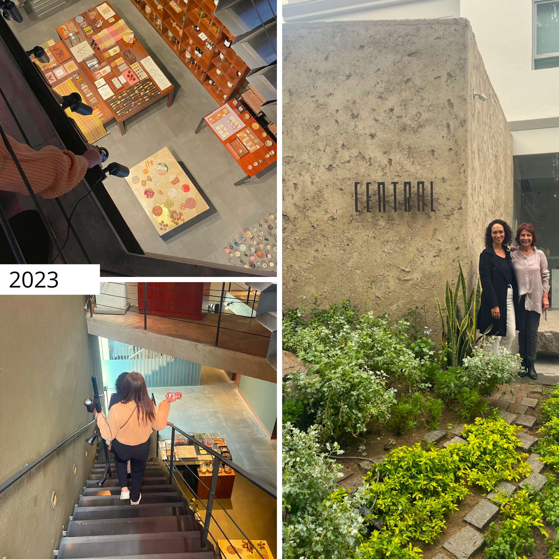 Un collage de fotografías muestra a una mujer bajando escaleras frente a un edificio que dice central