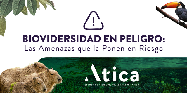 Biodiversidad colombiana en riesgo