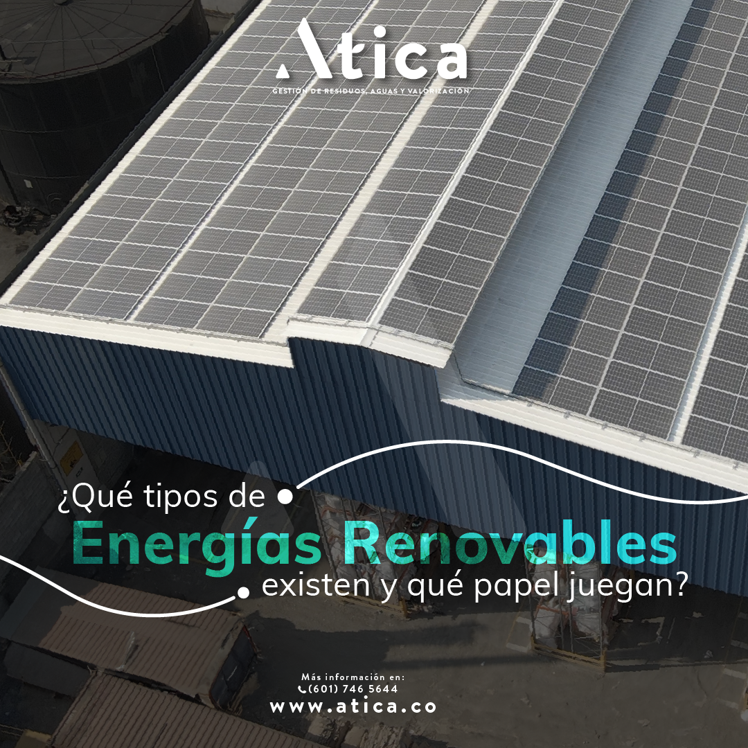 ¿Qué tipos de energías renovables existen y qué papel juegan?