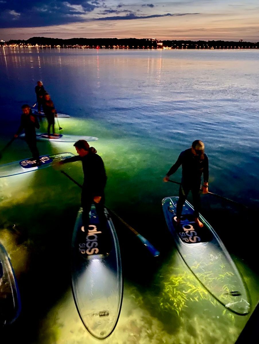 Eine Gruppe von Menschen steht auf glassSUP-Boards im Wasser
