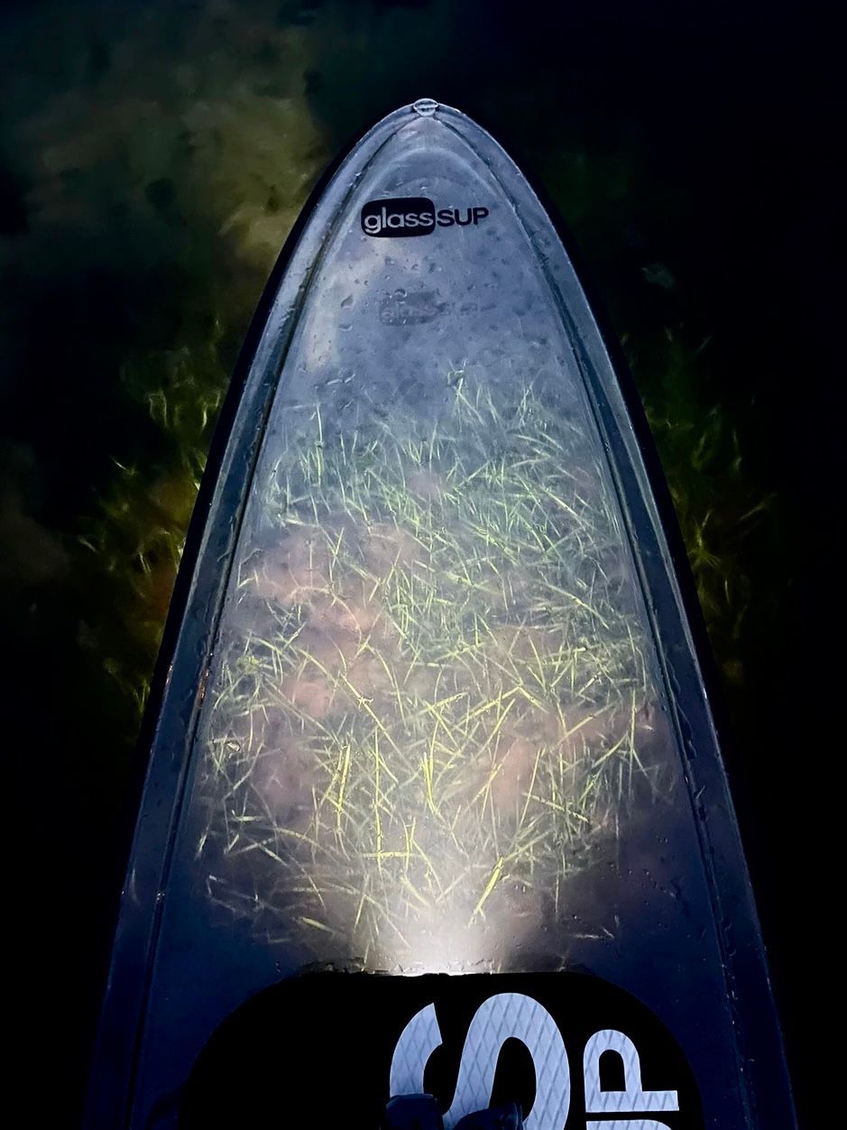 Eine Nahaufnahme eines beleuchteten glssSUP mit Blick auf das Seegras darunter