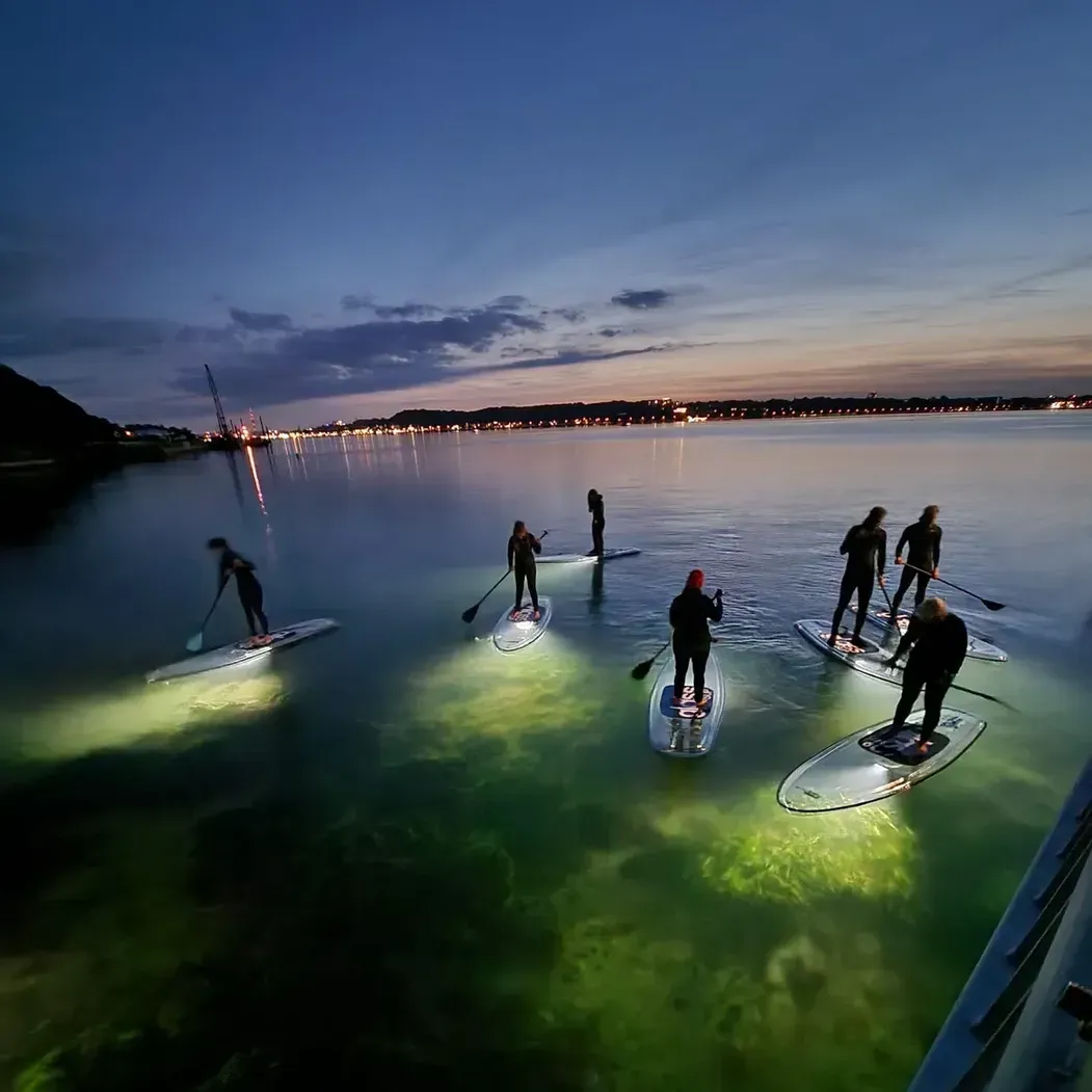 Eine Gruppe von Leuten ist nachts auf glassSUPS im Wasser unterwegs.