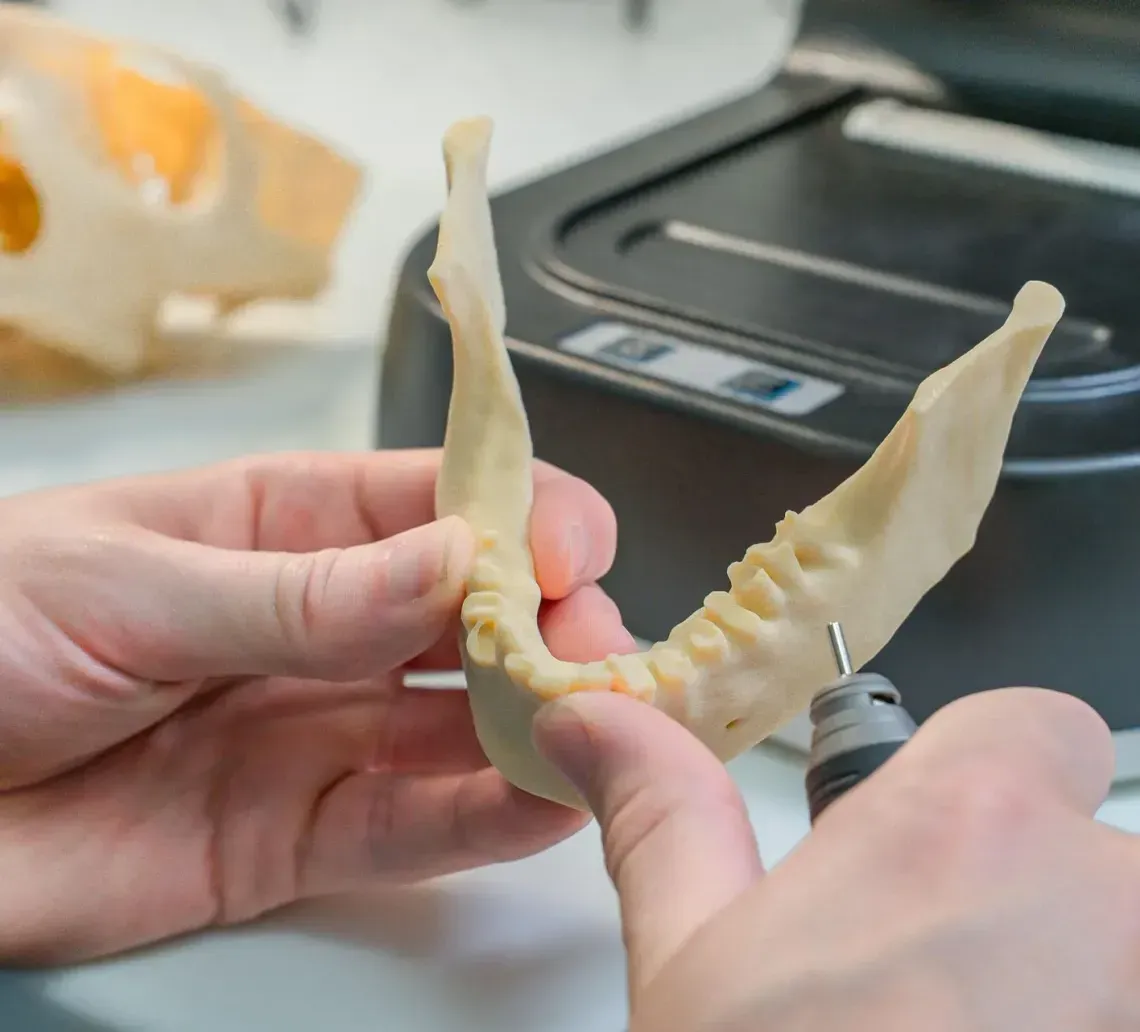 banana-river-dental-dental-implants-image