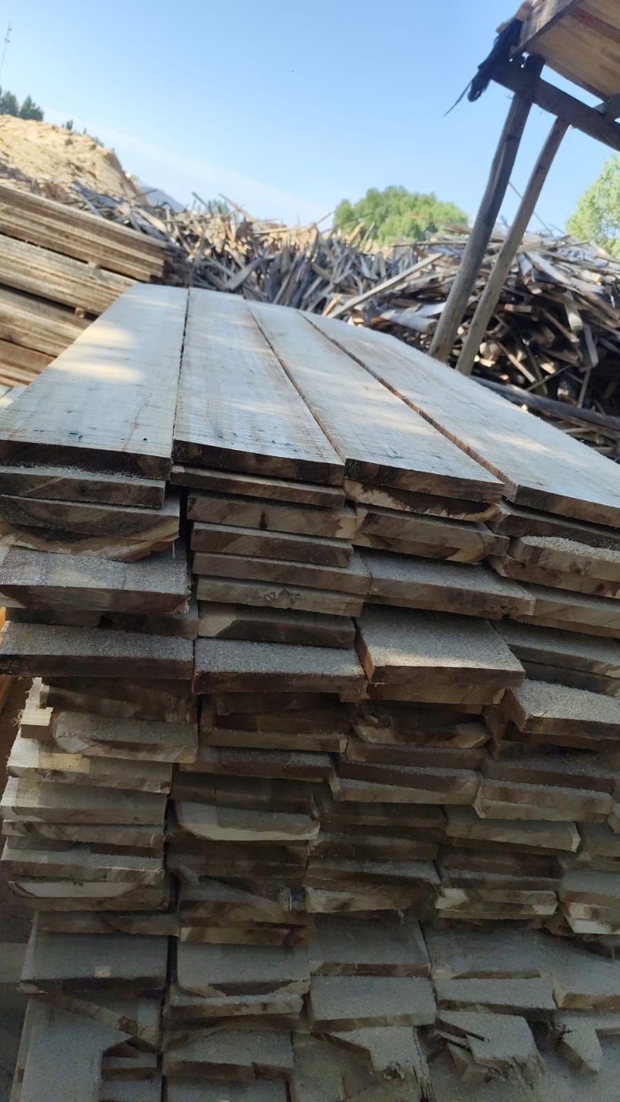 Pila de tablones de madera, al aire libre, con una pila de madera al fondo y un cielo azul.