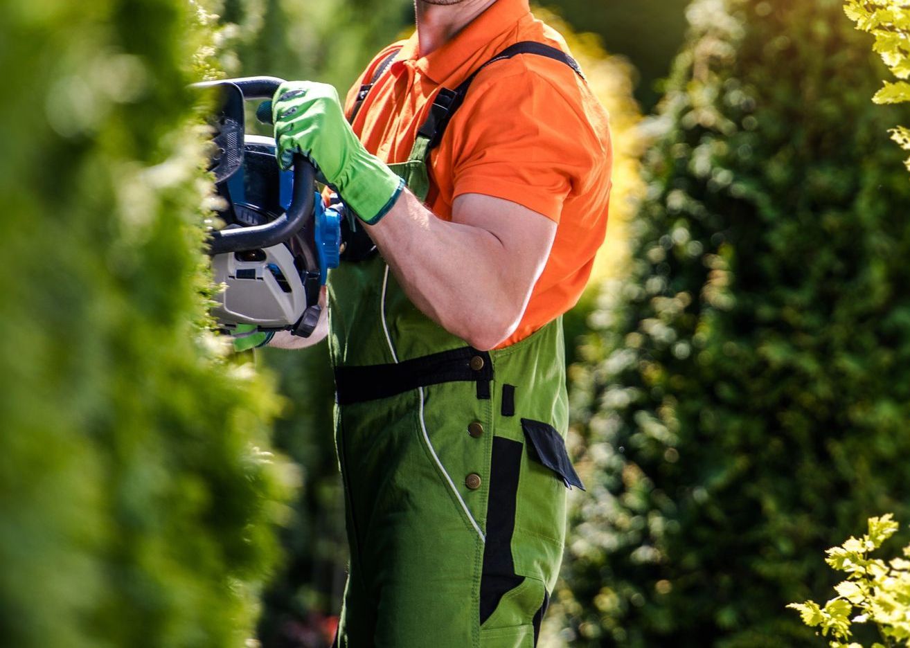 Land Property Maintenance in Buda, TX