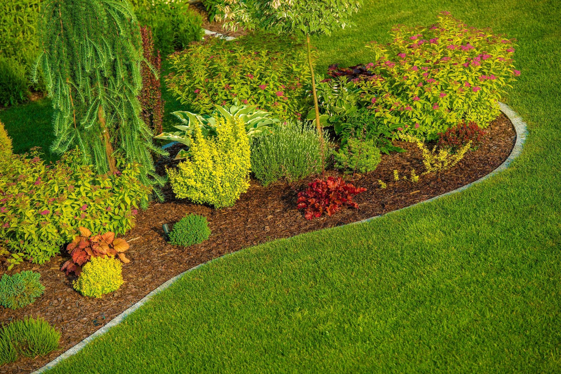 Landscaping in Buda, TX
