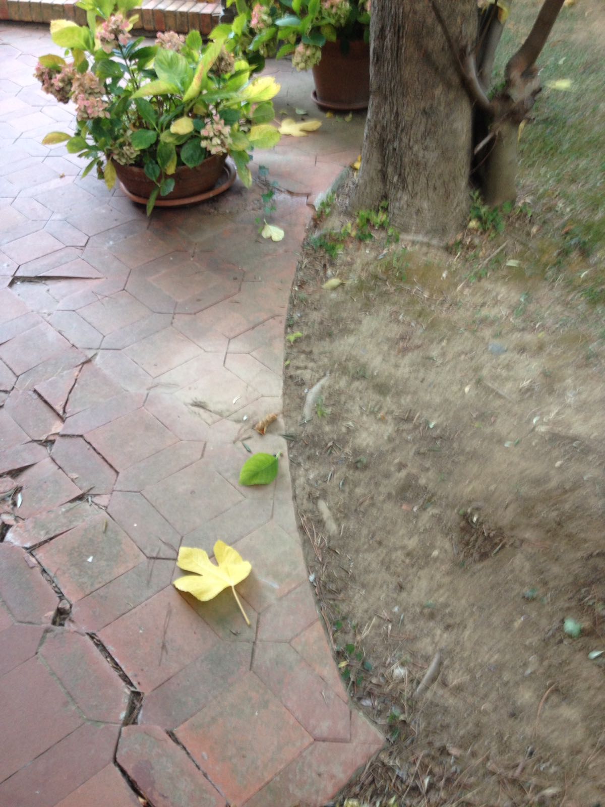 rifacimento pavimenti esterni